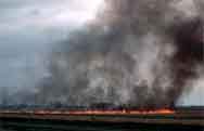 straw burning